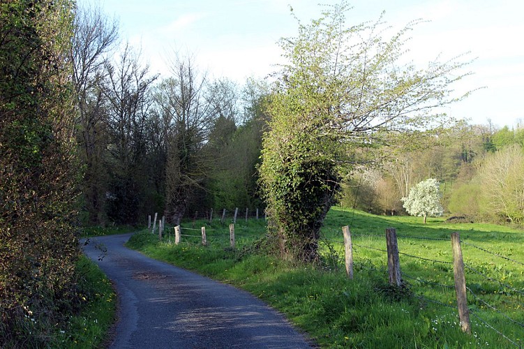 Chemin du caillou marais © AM, OTLPA