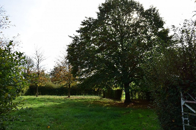 Aire de pique-nique à Barville©OTLPA et Bruno Photographie