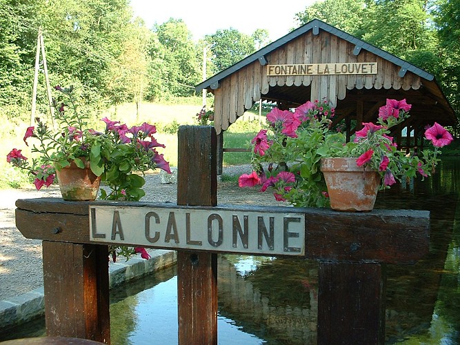 Source de la Calonne à Fontaine la Louvet©OTLPA