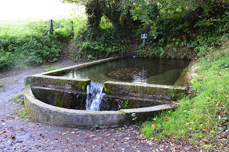 La fontaine fiacre