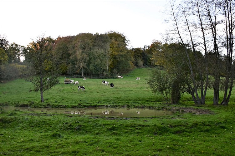 Vallée de saint martin saint firmin(1)