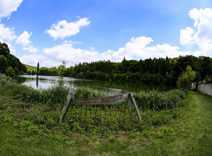 28249910963_2ce1c997c1_o