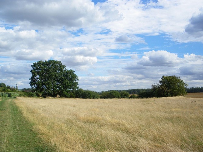 la_grande_mare_mesnil_acon (2)