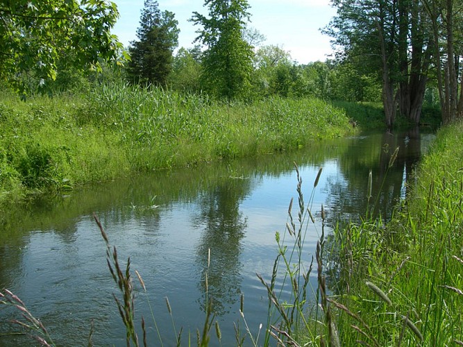 L'Iton à Gouville@Centre de Ressoures et d’Education en Environnement