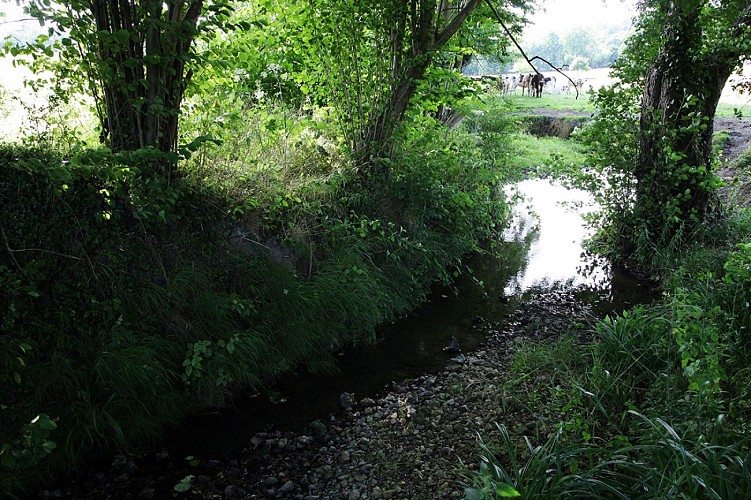 Sentier de la biodiversité (4)©OTLPA et PB Argence