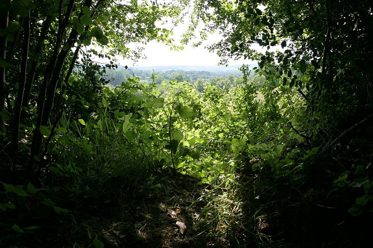 Sentier de la biodiversité 3