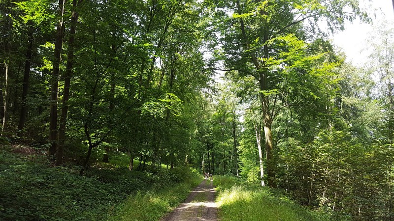 Sentier de la Fontaineresse, Lyons-la-Forêt
