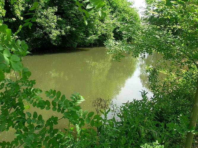 Cours d'eau © Eure Tourisme