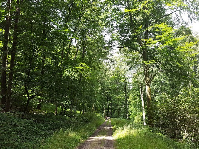 Sentier de la Fontaineresse, Lyons-la-Forêt