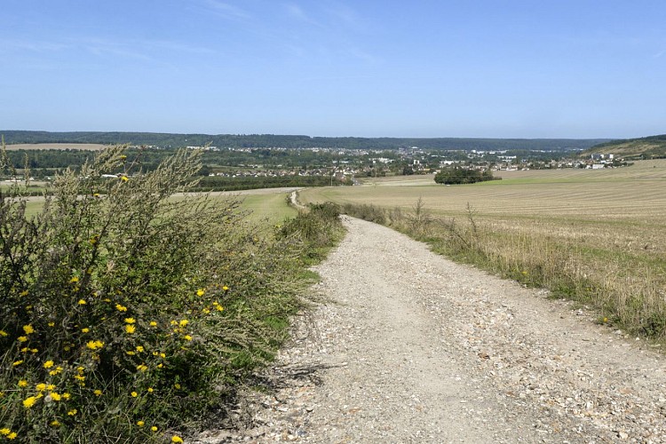 2019-08_Pinterville Histoire et Nature 29 © Thierry Matrou, OT Seine-Eure
