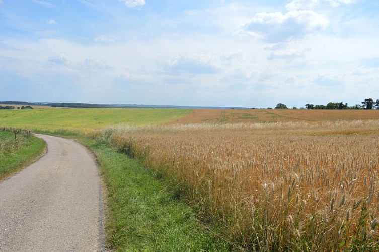 2018_06_29_circuit autour de Connelles 4©Valérie - Office de Tourisme Seine-Eure