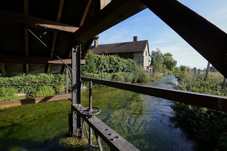 2019-08_Les sentiers de l'Iton 8