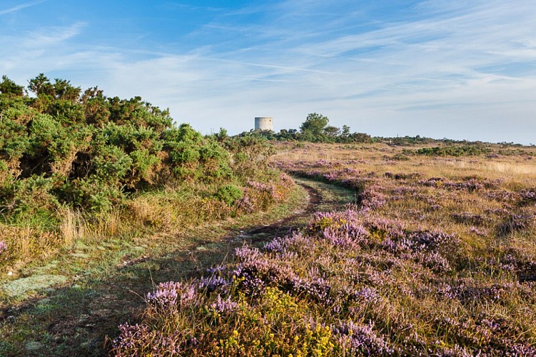 ┬®Thierry Houyel-doville-5