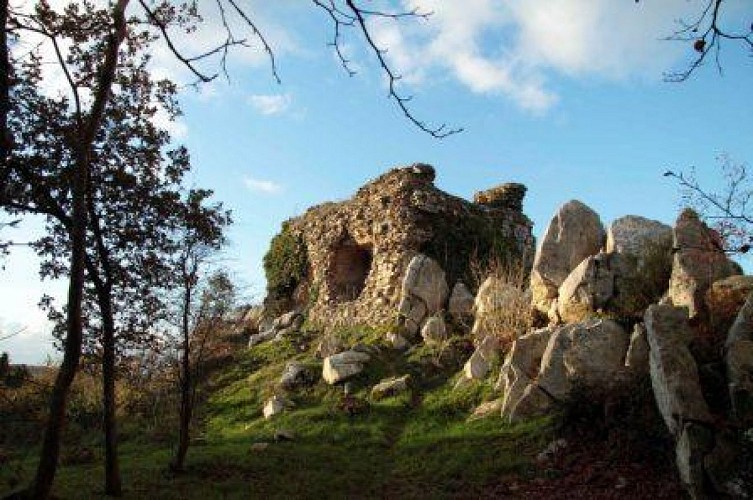 mont castre2010-stephanie pericat (7)