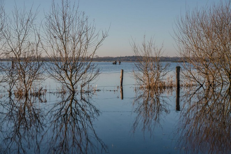 Marais-Blanc-du-Cotentin-2022-10-Xavier Lachenaud-Attitude Manche