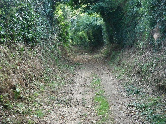 VTT Entre bois et landes