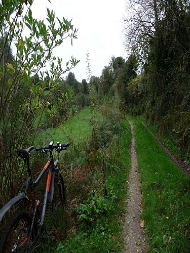 Comité Départemental de Cyclotourisme de la Manche