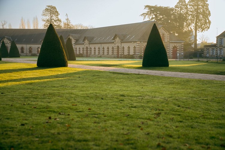 Haras-de-Saint-Lo-21-Xavier Lachenaud - Attitude Manche