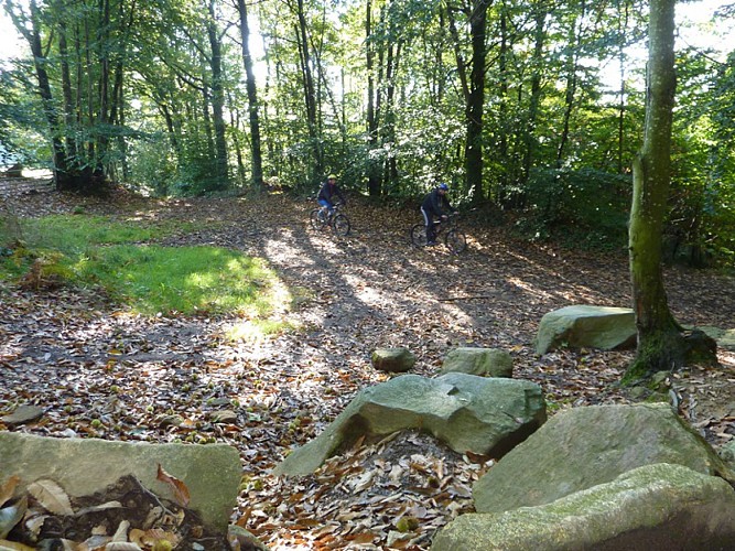 VTT Autour de Saint James