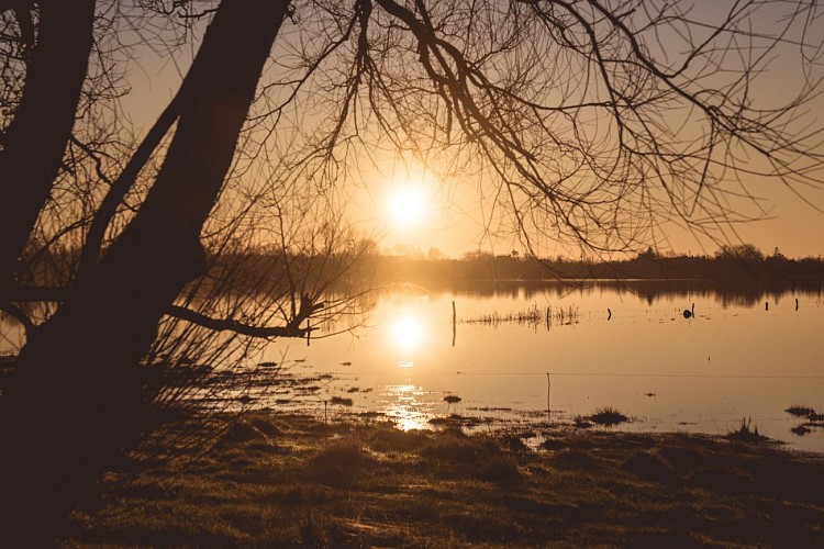 Marais-Blanc-du-Cotentin--2022-51.jpg-2000px