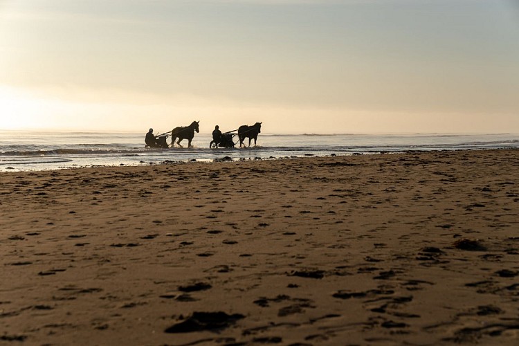 Utah-Beach-17.jpg-2000px