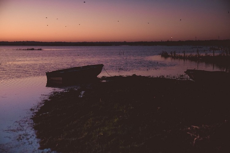 Marais-Blanc-du-Cotentin--2022-24.jpg-2000px