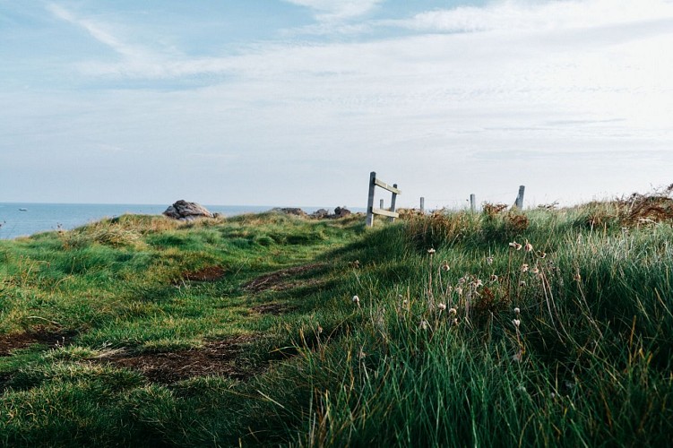 2017_Pointe_Jardeheu_Omonville_la_Rogue_Estelle_Hertault_CDT50.jpg-2000px