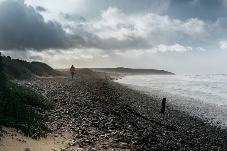 2017_Sciotot_plage_promeneur_1-J_Janin_CDT50.jpg-2000px