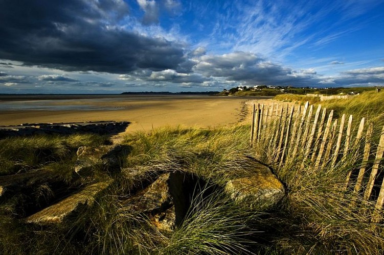 2008_Kairon_plage%C2%A9M_Lerouge_CDT50 [800x600]