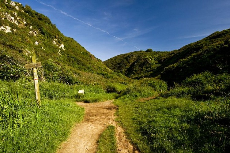 2008_la_vall%C3%A9e_du_Lude_sentier_randonn%C3%A9e%C2%A9M_Lerouge_CDT50 [800x600]