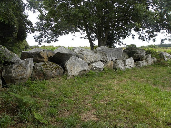 Photo N°2Bis_Sentier Les Moitiers d'Allonne 007