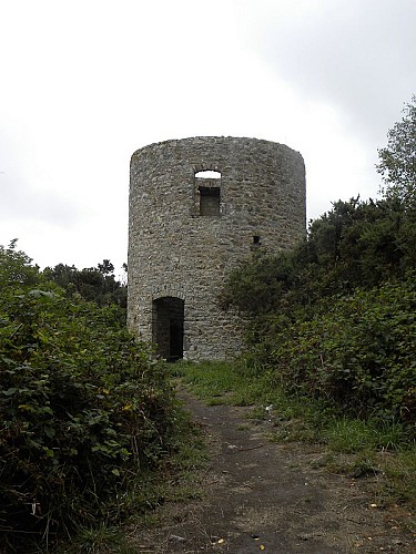 Photo N°3_Sentier Les Moitiers d'Allonne 025