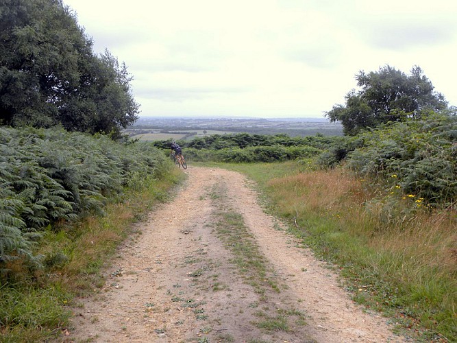 Photo N°4_Sentier Les Moitiers d'Allonne 019