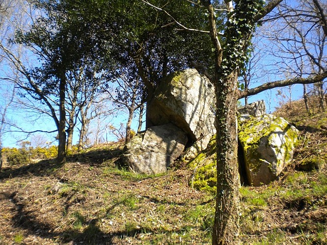 Photo N°3_la pierre butée