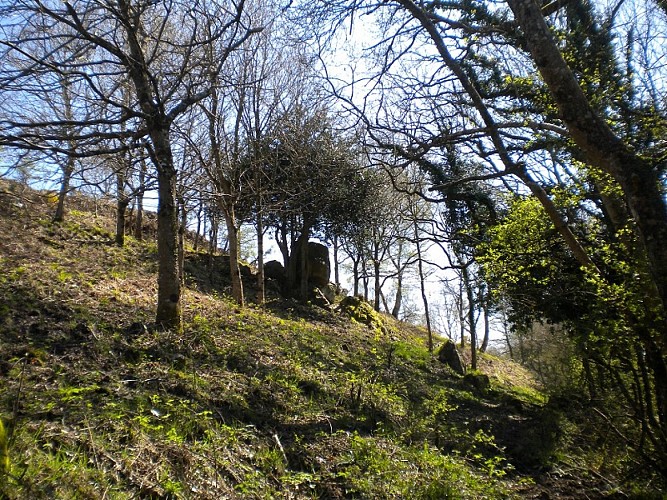 Photo N°2_Lande de Rauville