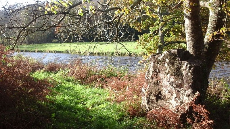 Photo N°2 BIS_2015-11-09 15.13.17