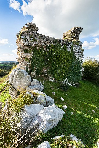 ┬®Thierry Houyel-montsenelle-3