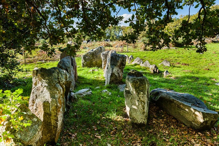 ┬®Thierry Houyel-montsenelle-4