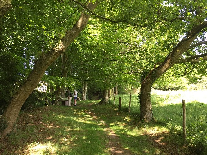 Mont-Castre©M.Choquet_27-05-17 (23)