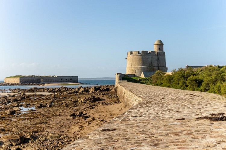 Saint-Vaast-Tatihou-74-Xavier Lachenaud - Attitude Manche