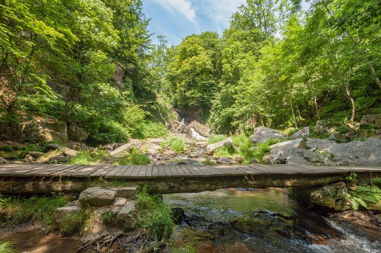 --_Sabina_Lorkin___Anibas_Photography-2015_Mortain_cascade_passerelle_3964-Anibas_Photography_CDT50-1500px