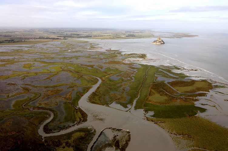 Baie_Mont_Saint_Michel_20191001_DDaguierCD50---111.jpg-1500px