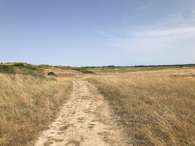 dunes-creances©margaux-choquet (16)