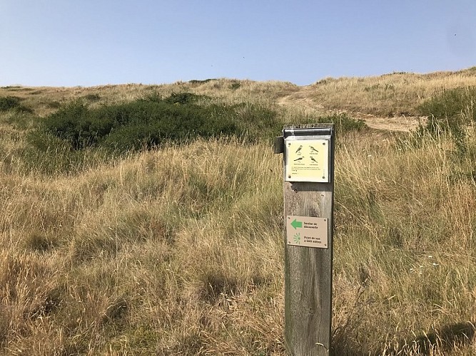 dunes-creances©margaux-choquet (14)-bd