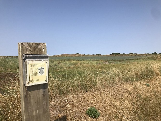 dunes-creances©margaux-choquet (35)-bd