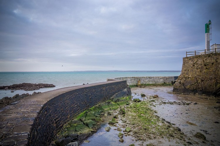 Fort-de-la-Hougue---Saint-Vaast-la-Hougue---Lever-de-soleil.jpg-2000px