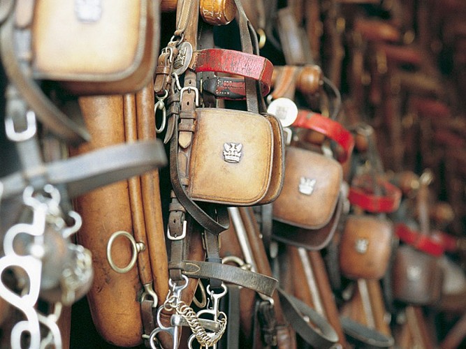 Randonnée à Pied au Haras national du Pin dans l'Orne en Normandie