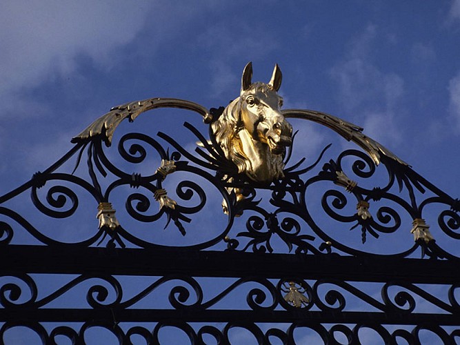 Randonnée à Pied au Haras national du Pin dans l'Orne en Normandie