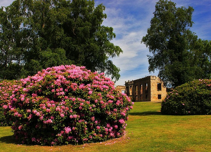 cerisy-belle-etoile-je-rubio