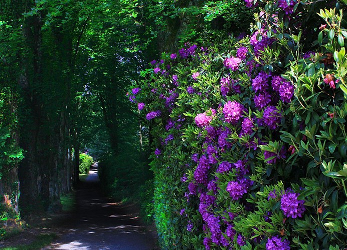 Mont de Cerisy - Cerisy Belle Etoile